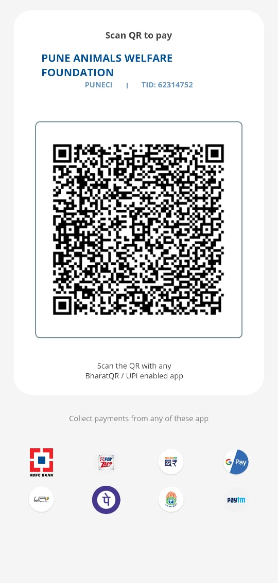 QR Code for donation